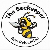 livebee