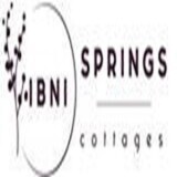 ibnisprings