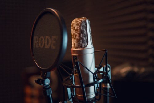 If you're looking for a voice-over casting in Los Angeles, you've come to the right place. If that's the case, your quest is over! DPN Talent can help you find voice performers and voice-over work in Los Angeles right now. Visit our website today to learn more!
https://dpntalent.com/