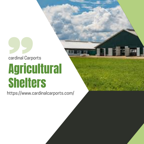 Do you want to build an agricultural shelter to protect your crop from unconditional weather? Then, you need to meet with cardinal carports. They built a highly protective agricultural shelter for the past several years. You can directly visit our website or call us for more information.
To know more: https://www.cardinalcarports.com/pre-fab-metal-buildings/agricultural-shelters-ag-equipment-shelters-ag-buildings