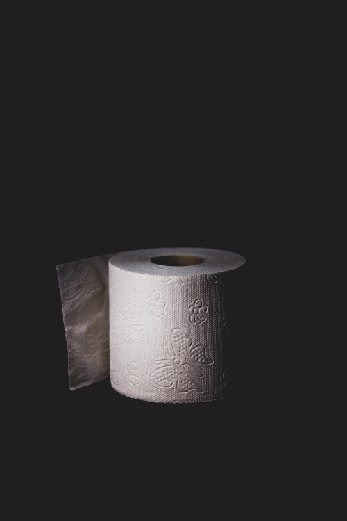 Emotions Org sells the softest bamboo toilet paper. Our toilet paper is 100 percent natural, organic, and recyclable because it is made without inks or dyes. It has no harmful impact on the environment. Our toilet paper is also an excellent alternative for nature enthusiasts because of its propensity to decompose naturally over time.
https://emotions.org.au/