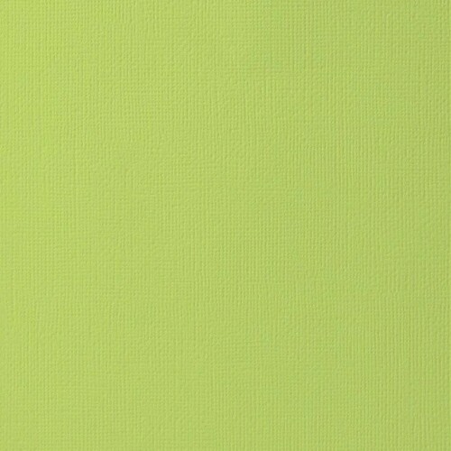 Whether you’re documenting your 80’s beach party or creating invites and décor for your tropical party, this 12x12 lime green cardstock collection has something you for sure need! These are the best bright green specialty paper options we have in the shop and they are a great starting point for some super bright and trendy color combinations. Visit at https://www.12x12cardstock.shop/collections/lime-green-cardstock-and-specialty-papers
