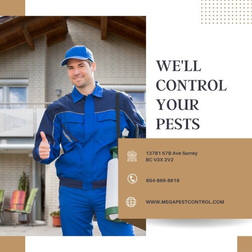 Mega Pest Control provides the leading pest control service in Abbotsford, Langley, Surrey, Canada. Contact us for residential, commercial, and industrial services now!


https://megapestcontrol.com/