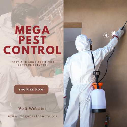 Mega Pest Control provides the leading pest control service in Abbotsford, Langley, Surrey, Canada. Contact us for residential, commercial, and industrial services now!

https://megapestcontrol.com/
