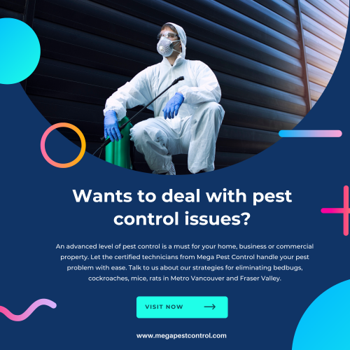 Choose professional Mouse pest control services in Abbotsford, Langley, and Tsawwassen. Mega Pest Control eliminates Mouse at your home. Get affordable & fast service now!

https://megapestcontrol.com/pest/house-mouse/