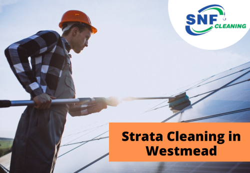 SNF Cleaning is specialized in Strata Cleaning, Lawn Mowing and Gardening services. At SNF Cleaning we believe that our Cleaning and Gardening in common area creates positive environment, also maintains the value and age of your property. As every strata property is unique, with regards to its common property, history and the way in which the owner wish the property to be maintain, we tailor our service to suit the requirements of each owner corporation. We are committed to provide Quality services to our each of our Property. Visit https://snfcleaning.net.au/strata-cleaning.html or all us today at 1300 65 75 65 to find out more about SNF cleaning services.