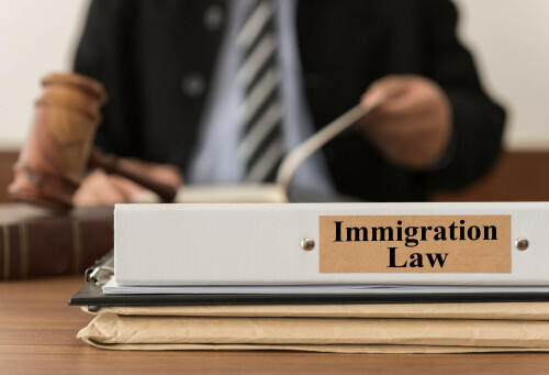 An immigration lawyer is responsible for representing the clients involved in the immigration process. To get top immigration lawyers come and visit the Law Office of Damaris A. Chavez. Here you get the best immigration advice.
https://www.lawofficeofdac.com/houston-immigration-lawyer/