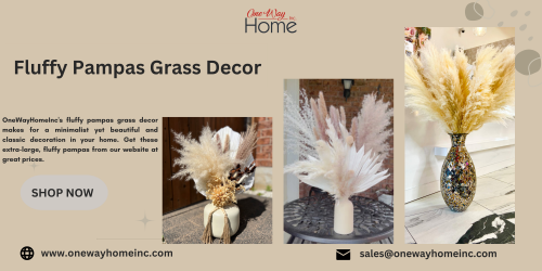 OneWayHomeInc's  Fluffy Pampas Grass Decor makes for a minimalist yet beautiful and classic decoration in your home. Get these extra-large, fluffy pampas from our website at great prices. _https://onewayhomeinc.com/collections/pampas-grass-boho-home-decore