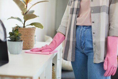 It's time to think about hiring someone to clean your home. You deserve the break and Tina Maids has the experience and commitment to make your house shine. Call us today at (919) 884-0924 for House Cleaning Services in Raleigh.