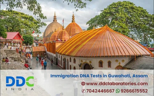 DDC Laboratories India provides accredited Immigration DNA Tests in Guwahati at affordable prices and offers 100% accurate and reliable DNA test reports, admissible in the embassies of different countries. We are working with 250+ local and International collection centers, providing the best in class services for Immigration DNA Tests in Guwahati, India, and abroad. Contact our customer representatives at +91 7042446667 or WhatsApp us at +91 9266615552 to book an appointment. Visit us here: https://www.ddclaboratories.com/immigration-dna-tests-in-guwahati/