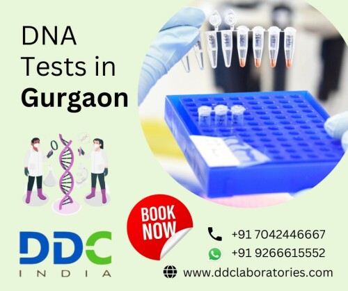 When talking about the best and most accredited Immigration DNA test labs in India, DDC Laboratories India is the first name that pops up. This is because we have a dedicated team of experts that specializes in Immigration DNA testing. We also offer different relationship identification DNA Tests in Gurgaon, including Paternity, Maternity, Siblingship, Grandparentage, etc. Call +91 7042446667 or WhatsApp us at +91 9266615552 to learn more. Visit us here: https://www.ddclaboratories.com/immigration-dna-tests-in-gurgaon/