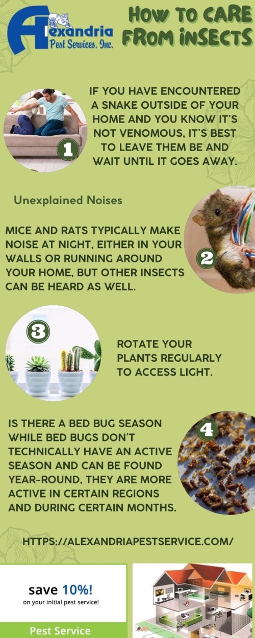 Alexandria Pest Services is a leading provider of pest management solutions throughout the metropolitan Washington, D.C. region. We service diverse customers located in Northern Virginia, Maryland, the District, and beyond, and specialize in helping government, commercial, and residential clients with a wide variety of pest control challenges.visit us at https://alexandriapestservice.com/