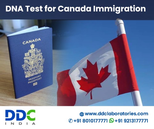 Living in Canada with family is a dream for many, but sometimes people face the challenge of proving their relationship with the petitioner due to inadequate documentation. In such scenarios, DNA Test for Canada Immigration helps you establish your relationship with the petitioner and make getting their visa or citizenship easy. At DDC Laboratories India, we are known for accredited and embassy-approved immigration testing services and are one of the best places for a DNA Test for Canada Immigration. For detailed information, you can contact us at +91 8010177771 or WhatsApp at +91 9213177771 to book an appointment. Visit us here: https://www.ddclaboratories.com/dna-test-for-canada-immigration/