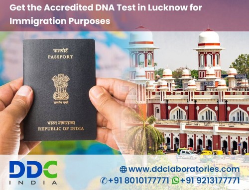 Many people from Lucknow are settled in other developed countries. They want their families to immigrate to their countries. But, when they are applying for visas, most of them get rejected due to insufficient relationship proof. To avoid such problems, you can attach your DNA test results with your sponsor. At DDC Laboratories India, we have been providing accurate and reliable Immigration DNA Tests in Lucknow. We have 250+ Sample collection centers worldwide to serve our services. Our Immigration tests are accredited by AABB, NATA, CIC, CLIA, and the MOJ. To opt for your immigration DNA test, book your appointment by calling us at +91 8010177771 or WhatsApp at +91 9213177771. Visit us here: https://www.ddclaboratories.com/immigration-dna-tests-in-lucknow-uttar-pradesh/