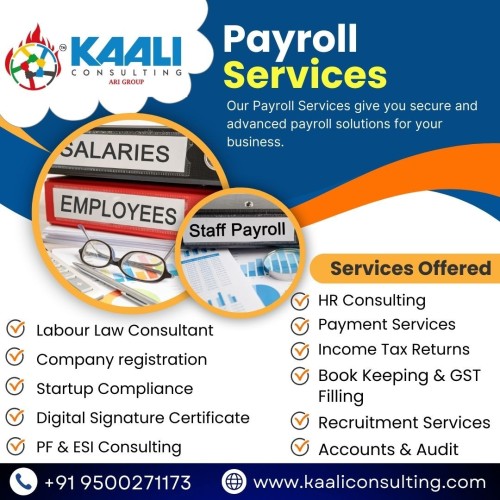 Payroll Services kaaliconsulting