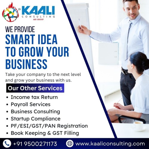 KaaliConsulting businessconsulting