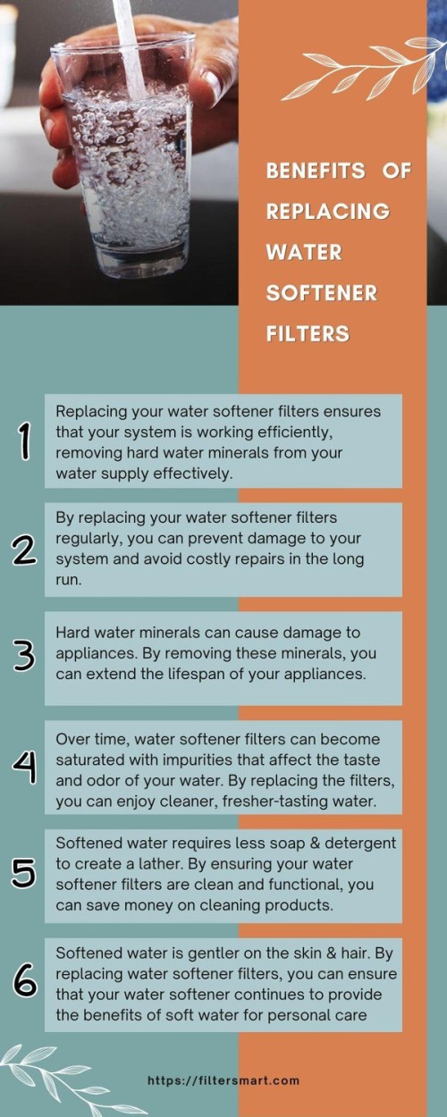 FilterSmart is the leading salt-free, non-electric whole house water filter company. All systems are designed, assembled, and shipped in the USA. For more details, Visit the website: https://filtersmart.com/