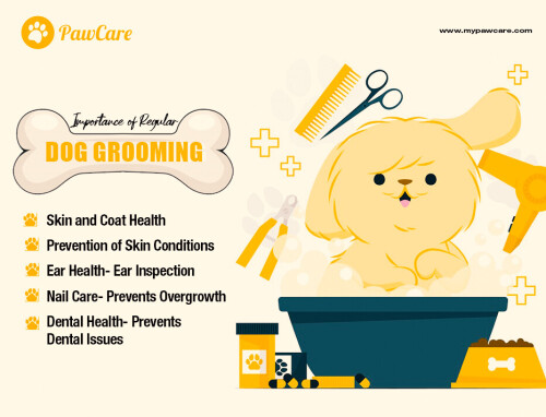 Importance of Regular Dog Grooming