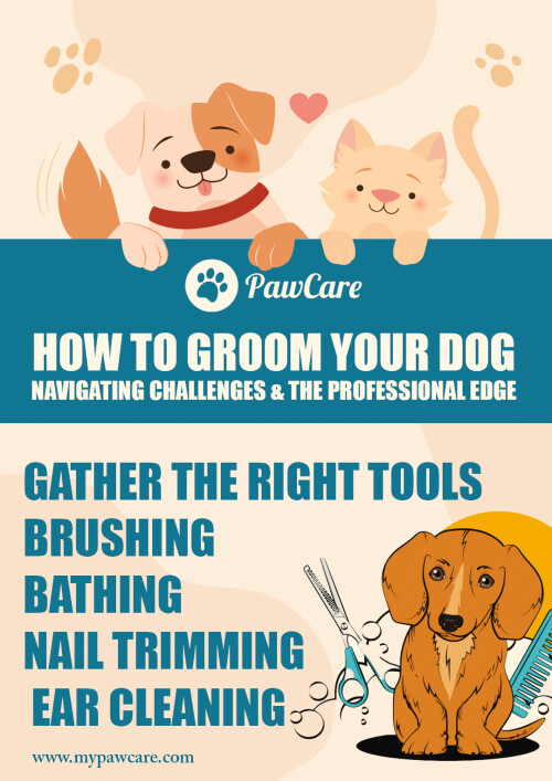 How To Groom Your Dog Navigating Challenges and the Professional Edge