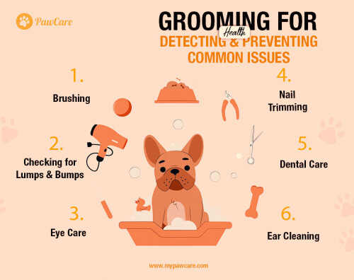 Grooming for Health Detecting and Preventing Common Issues