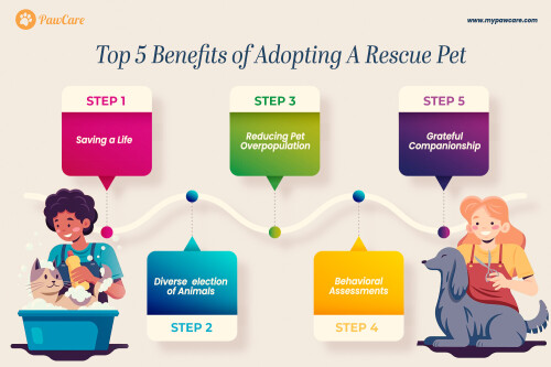 Top 5 Benefits of Adopting A Rescue Pet