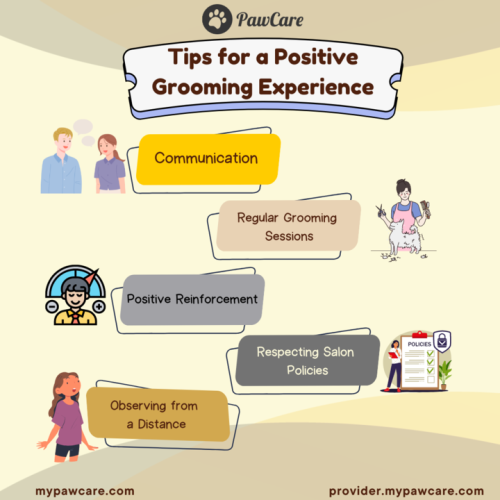 Tips for a Positive Grooming Experience