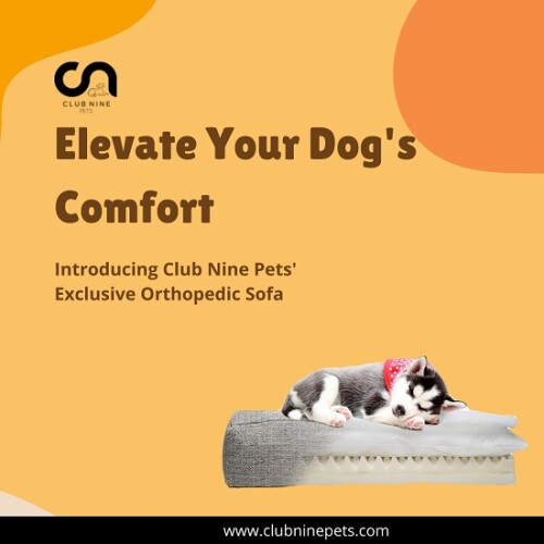 Explore our Club Nine Pets blog for stylish dog beds and chic loungers, perfect for fashion-forward pets. Stay updated on the latest trends and tips for pampering your furry friend
https://www.clubninepets.com/blog