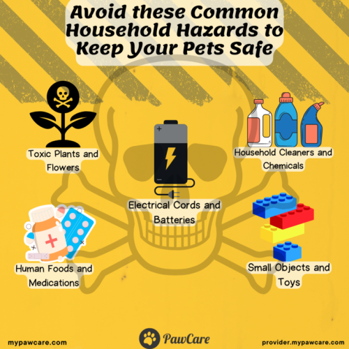 Avoid these Common Household Hazards to Keep Your Pets Safe