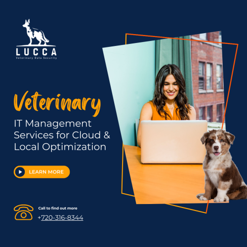 Wide Range of Veterinary IT Services (3)