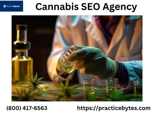 Practice Bytes is an expert in Cannabis SEO, increasing the internet presence of cannabis companies. We improve your online presence, generate organic traffic, and foster growth through focused tactics. Put your trust in Practice Bytes to handle the particular market obstacles and laws so your brand is noticed. For more details, visit our website: https://practicebytes.com/services/cannabis-seo/