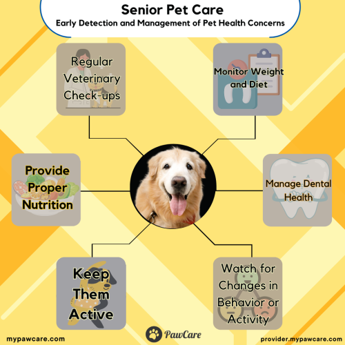 Senior Pet Care – Early Detection and Management of Pet Health Concerns