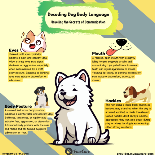 Decoding Dog Body Language Unveiling the Secrets of Communication