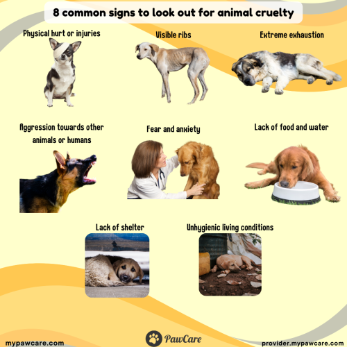 8 common signs to look out for animal cruelty
