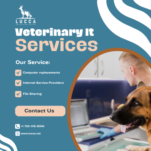 Wide Range of Veterinary IT Services (6)