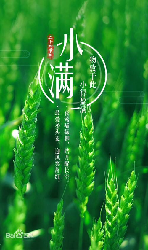 b115acfd8c0b22c7877bf218cf206390.jpg