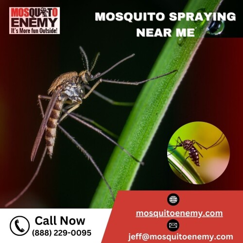 Searching ways to banish mosquitoes from your vicinity? Mosquito Enemy’s top-rated mosquito spraying services got you covered. Their skilled technicians use safe and efficient methods to eliminate mosquitoes effectively. Visit their website mosquitoenemy.com to book your service and enjoy a mosquito-free environment today!