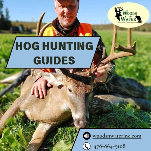 Learn the crucial and necessary information and rules for hog hunting at Woods-N-Water Inc. by simply booking a hunting package from them. Enrich from the experts’ hog hunting guides, which hones the skills of new hunters and aficionados under attractive rate and opportunities. With approximately 5,500 acres of land, you and your hunting group will enjoy one of the finest hunting locations in the south. Our thrilling wild hog hunts will provide you memories that will last a lifetime. Visit https://www.woodsnwaterinc.com/wild-hog