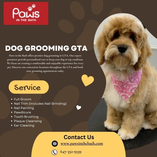 Paws in the Bath offers premier dog grooming in GTA. Our expert groomers provide personalized care to keep your dog in top condition. We focus on creating a comfortable and enjoyable experience for every pet. Discover our convenient locations throughout the GTA and book your grooming appointment today.