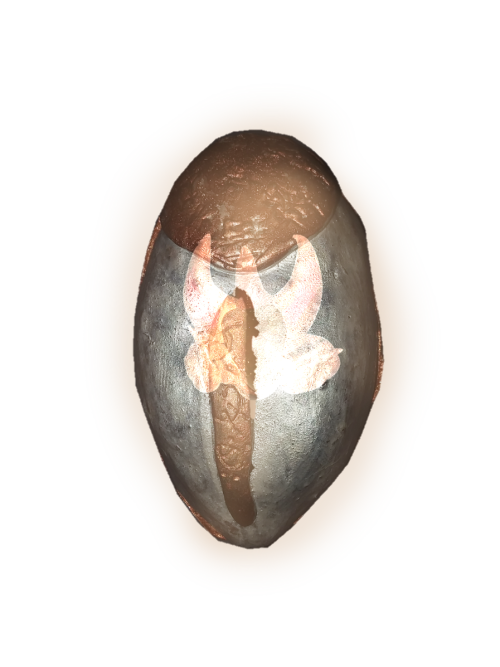 0fc48478d54ca92a34008bb9f783e237.png