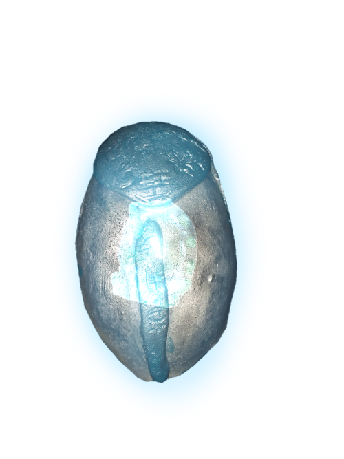 d358f4c94de87e6b4eece86dee8496ab.png