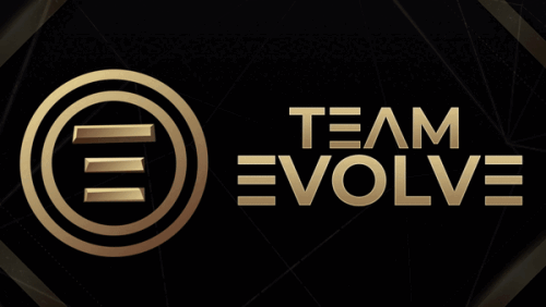 TEAM E banner