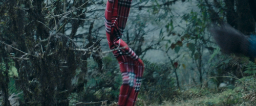 ec0089db957e2a3e20de62b5d0b3070f.png