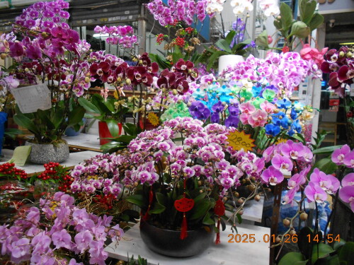 612cacd92be1b47718b17af73fc32b2a.jpg