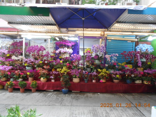 fbb8015b3f2fb8c845af7eccd5a74472.jpg