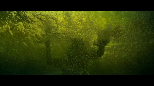 522976b9ad394d990b515c71d340867a.png