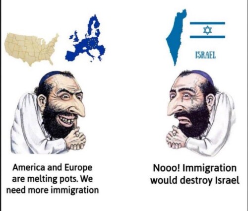 b8e456119ef4c20fc0eb9a10d8b54c72.jpg
