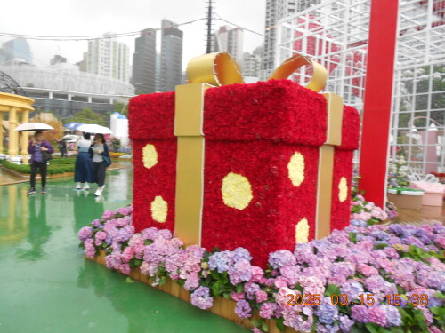 c12a67bffd124a3ef2a3b79de881e146.jpg
