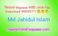 Image Load Failed!