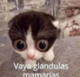0b1473a6b94e1ee879856b8426d93c1d.png