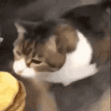 9776546b9d77187cfc256ce51ffb1eb7.gif
